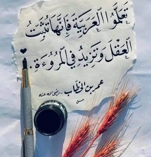 G8dNckWXQAAzYmV.jpg