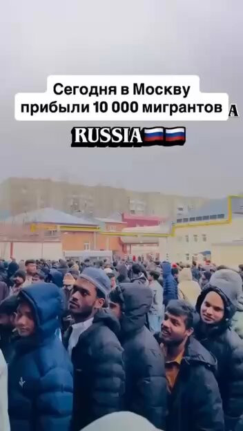 6ivcxuxaqYv8udQk.jpg
