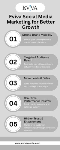 Professional Social Media Marketing Solutions for Business Growth and Engagement.jpg
