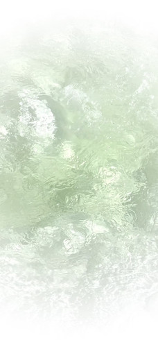 IMG 0369.jpg
