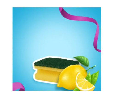 sponge 5pc.jpg
