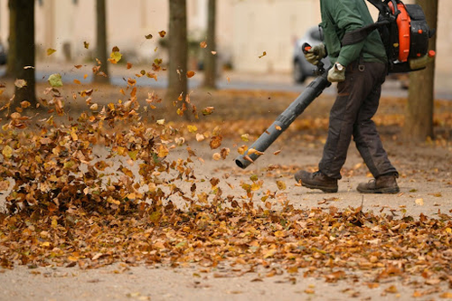 Fall Leaf Cleanup in Overland Park – Get Fast and Professional Seasonal Yard Care.png