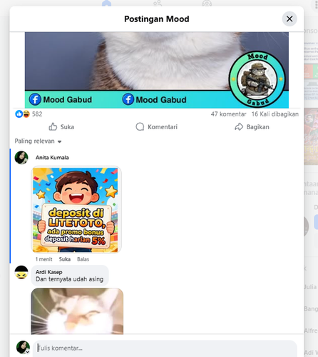 Screenshot 17.png