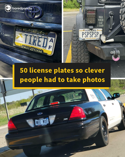 hilarious license plates.png