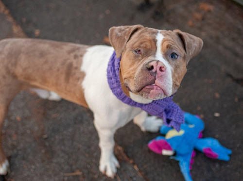 Gg X4IGaYAAXzG ?format=jpg.jpg