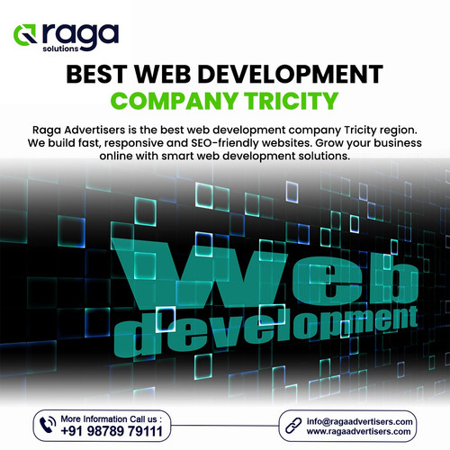 Best Web Development Company Tricity.jpg