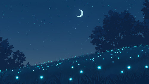 calmNight.jpg