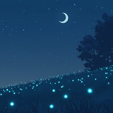 calmNight