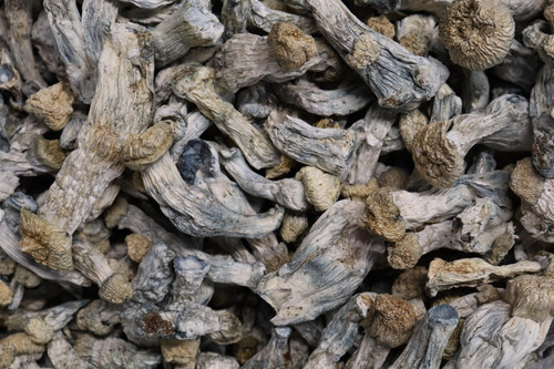 Full Moon Party AAA Shrooms.jpg