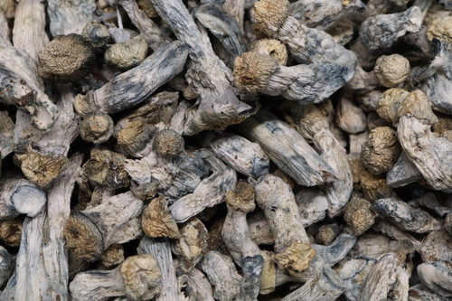 Pink Elephant AA Shrooms.jpg