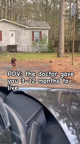 xgWTo5rBkpdSpJX2.jpg