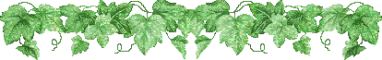 1000017437.webp