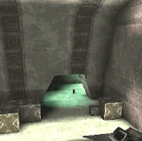 Filek.gif