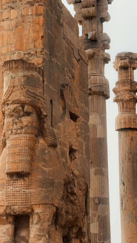 awF98WVUNx 1C0Md.jpg