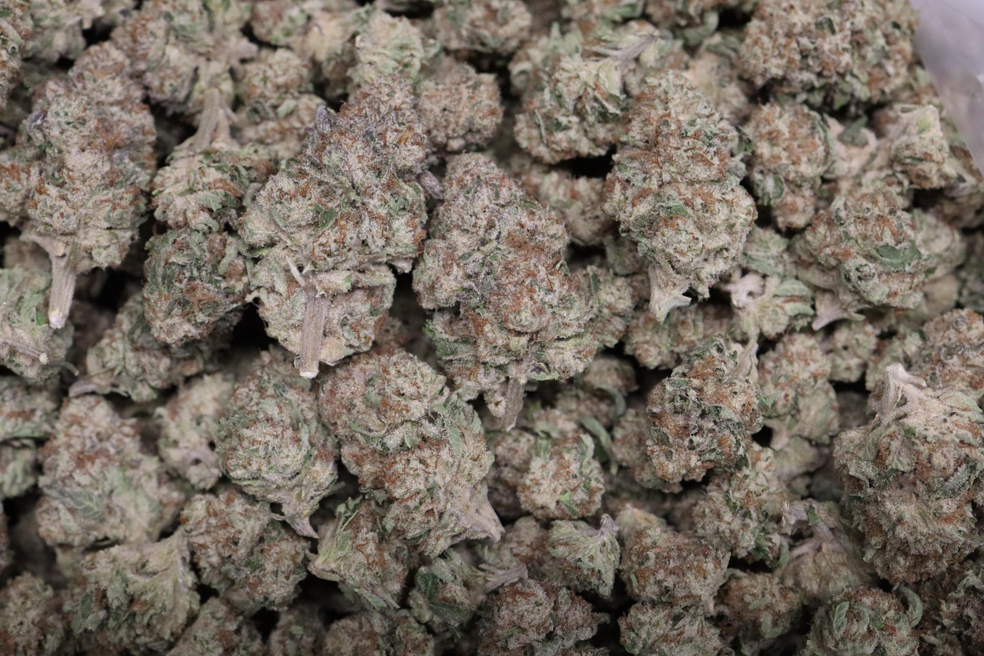 Creme Brule - AAA Light Dep