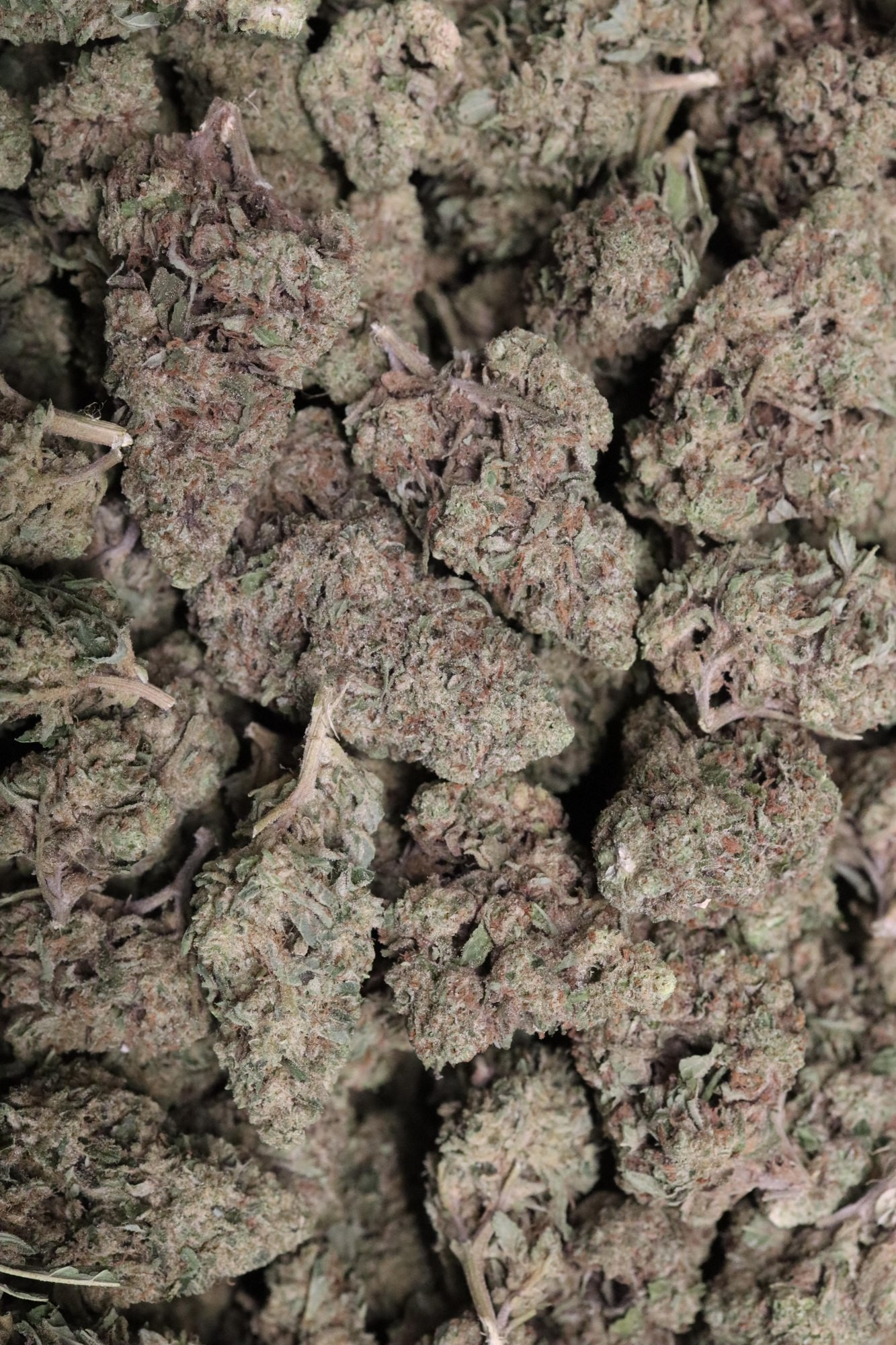 Malibu Marker - Indoor