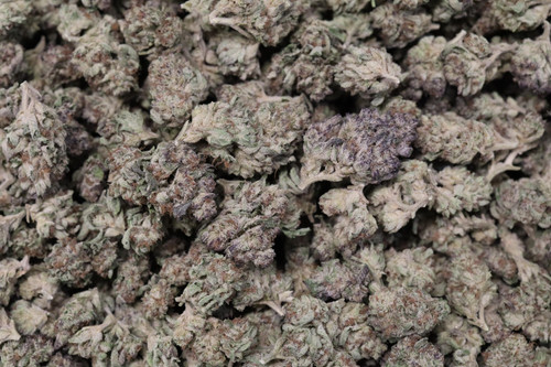 2025 12 18 22.58.32.jpg