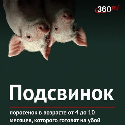G8cZ9qUW0AAziwr.jpg