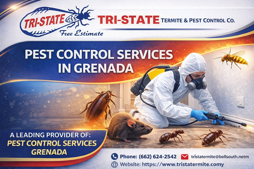 Pest Control Services in Grenada That Eliminate Bugs Fast & For Good.jpg