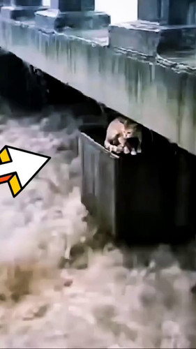 bw2TmaVZHd08BahU.jpg