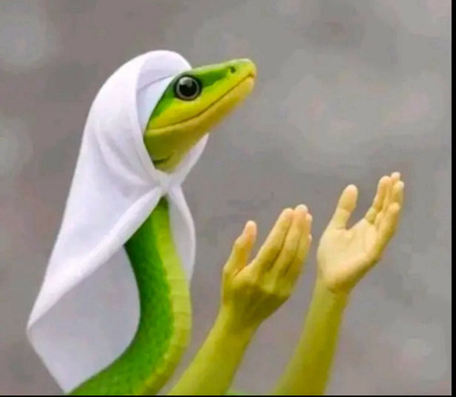 G8cxWheXMAAccXK.jpg