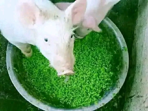 G8Zh0w XEAA9RDT.jpg