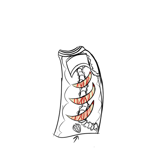 IMG 1393.png
