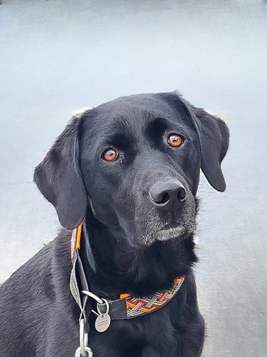 557779551 10237778958794207 1029237463776287302 n.jpg