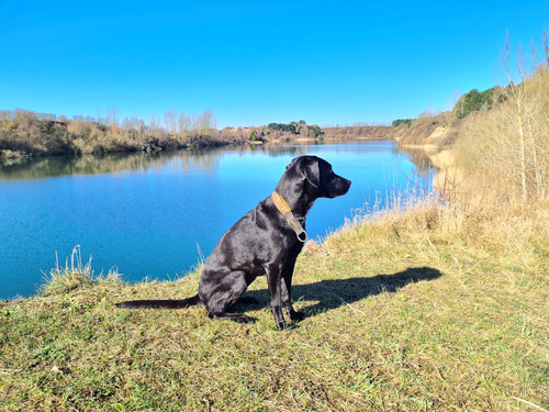 480264467 10235085813347254 8747329827907244712 n.jpg