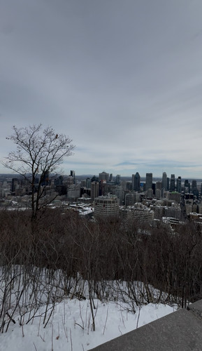 IMG 1110.jpg