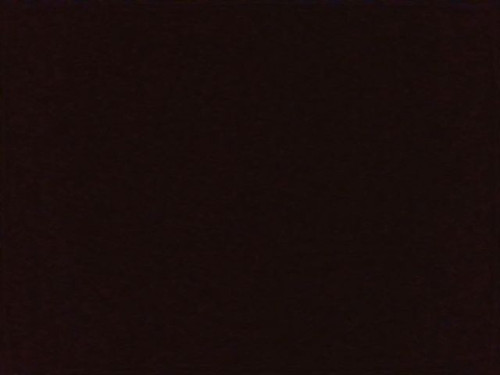 96364532e0cb.jpg