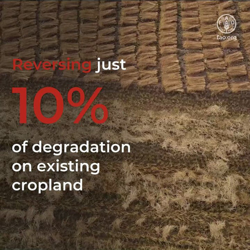 VkaRWa8zVWsa F3t.jpg