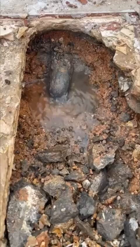 LPXSF6Kl WRf6c9C.jpg