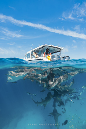 ACH02408 編輯 編輯.jpg