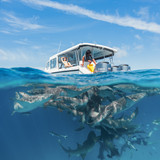 ACH02408 編輯 編輯