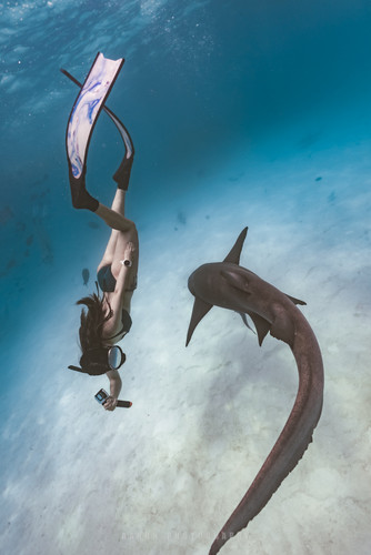 ACH03075 編輯 編輯.jpg