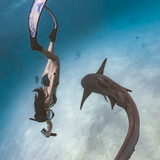 ACH03075 編輯 編輯