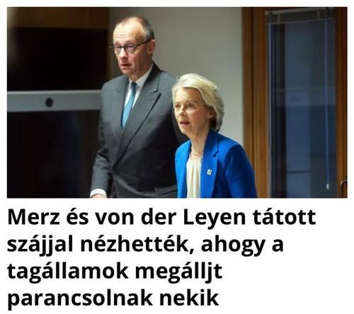 600365345 889923446891987 680669656385991092 n.jpg?stp=dst jpg s565x565 tt6& nc cat=101&ccb=1 7& nc .jpg