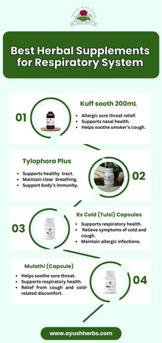 Best Herbal Supplements for Respiratory System.jpg