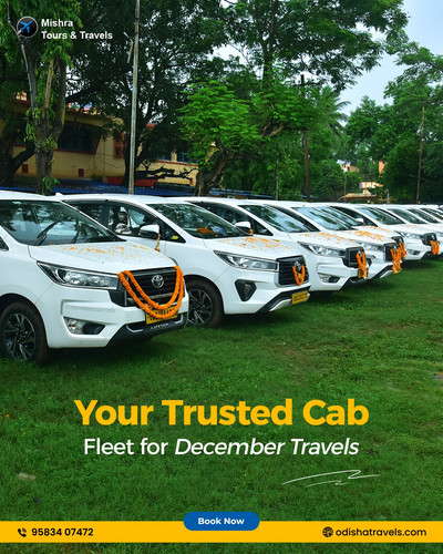 Professionals travel Agency Bhubaneswar.jpg