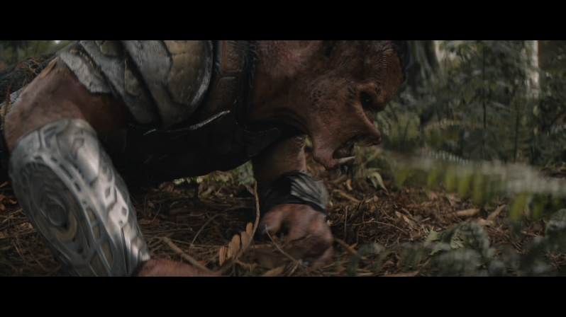 FabPlayer [20260207 165507 818]