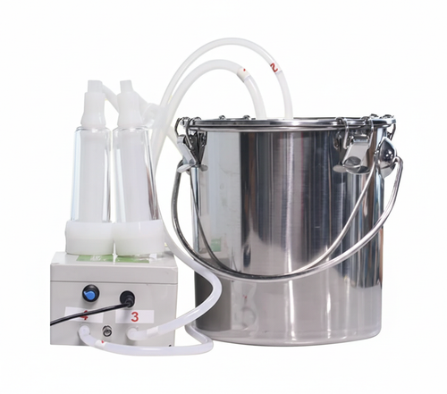 Gemini Generated Image ydy6dpydy6dpydy6.png