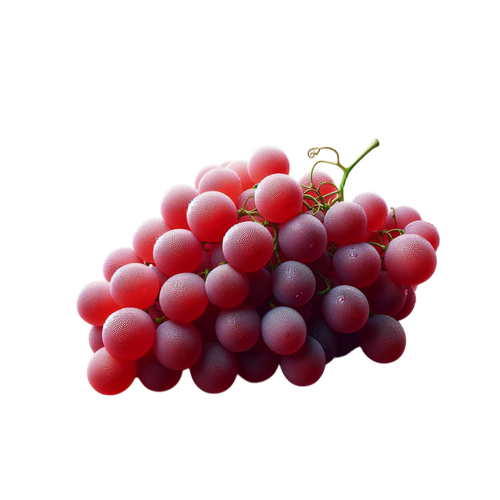 KD SpiritofdaVinci 41.png