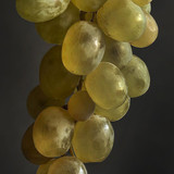 081799b1b42caabbc4adcd9327531317