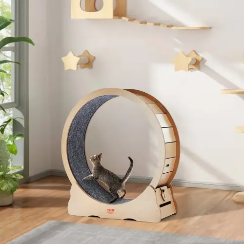 us MZMPBJYMSMDBOHXZ2V0 original img v3 cat exercise wheel m100 1.12.webp