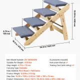 us LTSFZDGLTKFPB0YY9001V0 original img v1 dog stairs f6