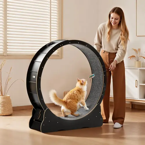 us MZMPBJLHSMDB3N5ZN001V0 original img v2 cat exercise wheel m100 1.12.webp