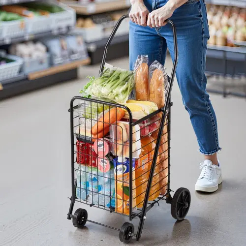 us XYC2ZDSTCSJS7HKN9001V0 original img v1 grocery shopping cart m100 1.12.webp