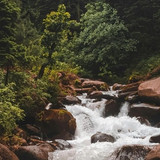 Screenshot 20260129 175356 Google