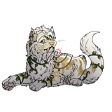 114201437 boANolY05hKQCpC